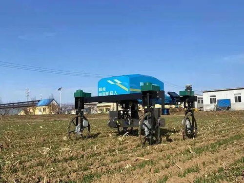 農業產業周報 科技賦能，龍頭領航——聚焦中糧、極飛、克明、牧原與行業研發新動態
