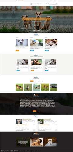 萌寵之家 打造用戶喜愛的寵物網(wǎng)頁(yè)設(shè)計(jì)模板指南