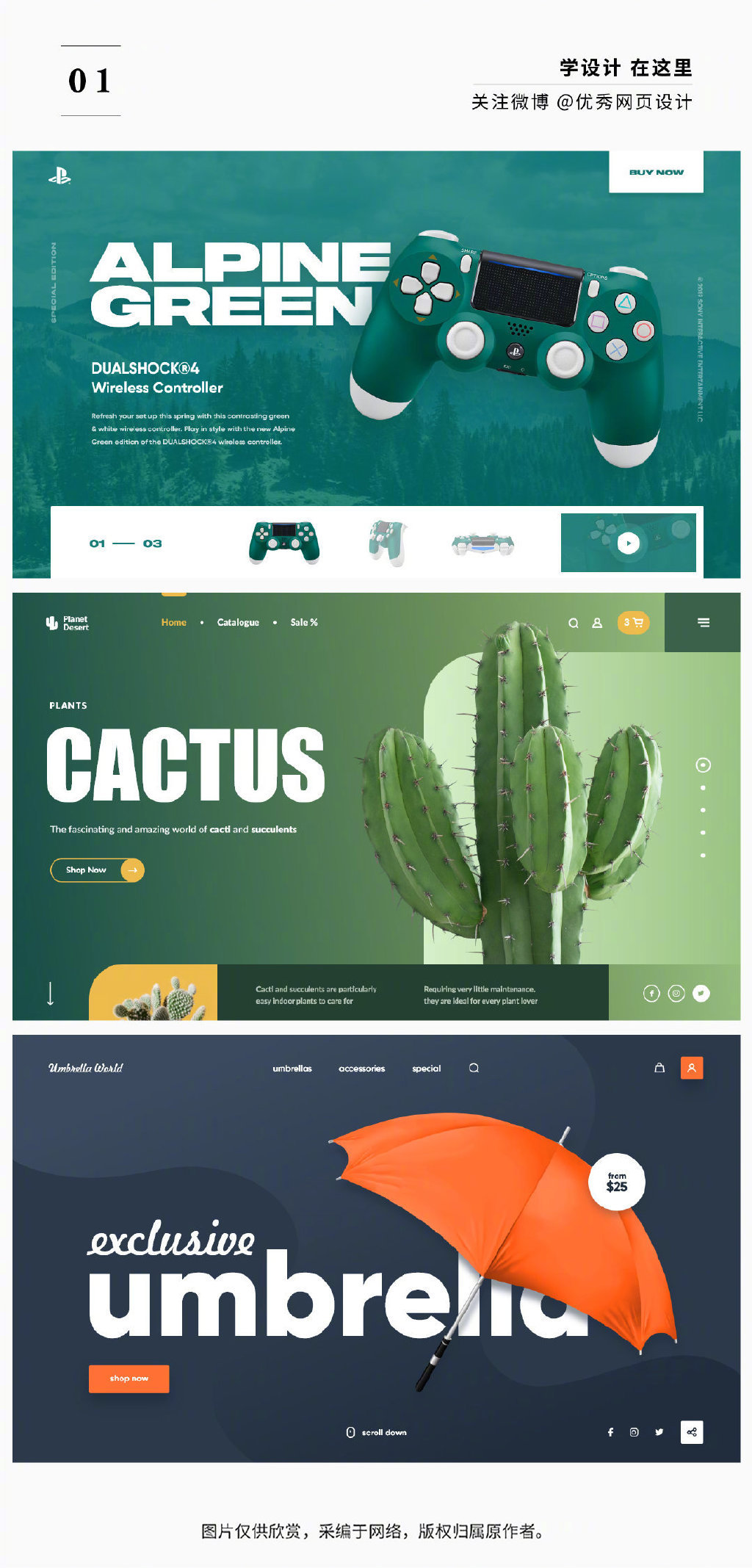 高端大氣國際范！從Anna Senkova的網頁設計中學習企業營銷策劃